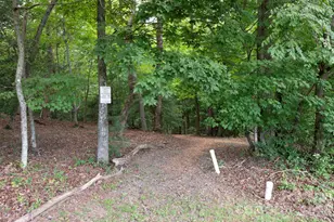 16 Britton Knoll Pass, Arden, NC 28704 - Photo 46