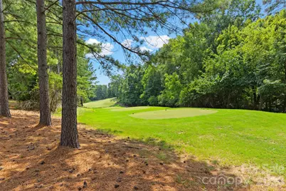 771 Cherry Hills Place, Rock Hill, SC 29730 - Photo 38