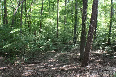 6804 Glover Lane, Lowesville, NC 28164 - Photo 12