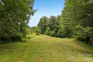 164 Pegg Rd, Marshall, NC 28753 - Photo 32