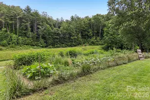 164 Pegg Rd, Marshall, NC 28753 - Photo 34
