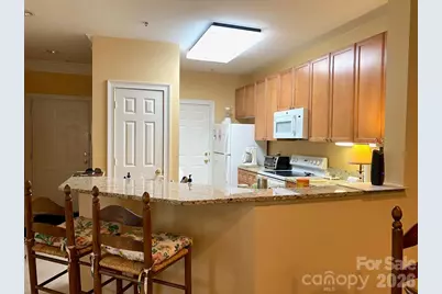 65 Glenview Lane #3029, Maggie Valley, NC 28751 - Photo 10