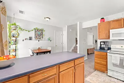 10171 Reindeer Way Lane, Charlotte, NC 28216 - Photo 4