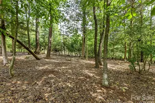 12323 Cherrybark Ln, Charlotte, NC 28278 - Photo 36
