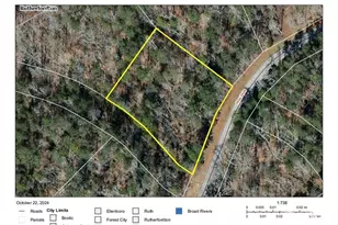 11 Moss Dr, Rutherfordton, NC 28139 - Photo 1
