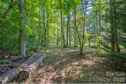 1008 Hardison Falls Trail, Hendersonville, NC 28792 - Photo 32