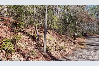 Tbd Galax Lane #G-11, Brevard, NC 28712 - Photo 18