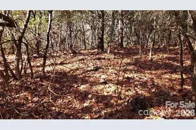 Tbd Galax Lane #G-11, Brevard, NC 28712 - Photo 10
