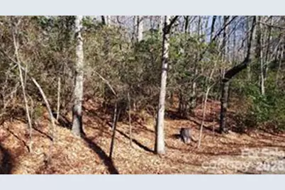 Tbd Galax Lane #G-11, Brevard, NC 28712 - Photo 2