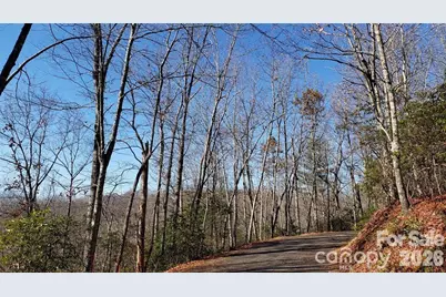 Tbd Galax Lane #G-11, Brevard, NC 28712 - Photo 6