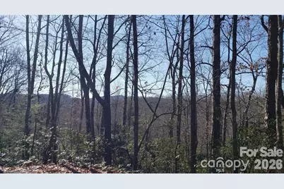 Tbd Galax Lane #G-11, Brevard, NC 28712 - Photo 8