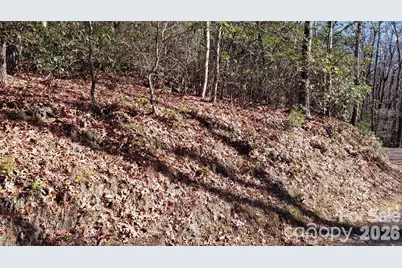 Tbd Galax Lane #G-11, Brevard, NC 28712 - Photo 16