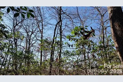 Tbd Galax Lane #G-11, Brevard, NC 28712 - Photo 4