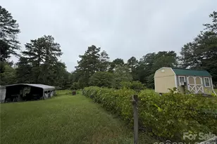 2331 Black Creek Church Rd, Pageland, SC 29728 - Photo 6