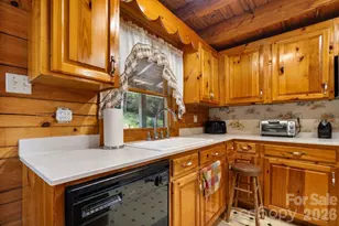 100 Goose Creek Rd, Marion, NC 28752 - Photo 10
