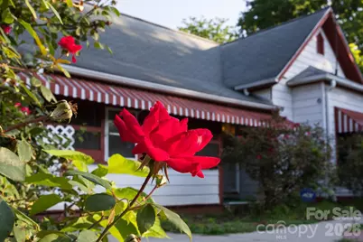 91 Clingman Avenue, Asheville, NC 28801 - Photo 2
