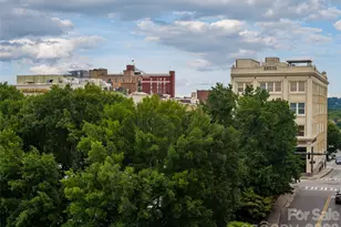 12 S Lexington Ave, Asheville, NC 28801 - Photo 32