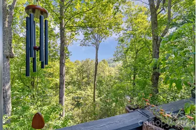 107 Spruce Lane, Zirconia, NC 28790 - Photo 28
