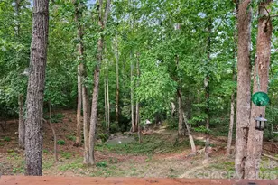 1042 Rosewood Dr, Dallas, NC 28034 - Photo 36