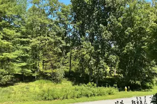 47 Lake Dr, Laurel Park, NC 28739 - Photo 16