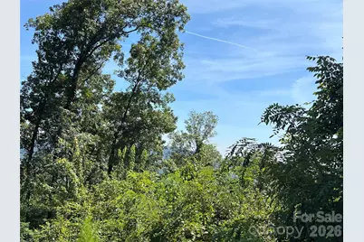 00 Brighton Drive #233, Bostic, NC 28018 - Photo 6