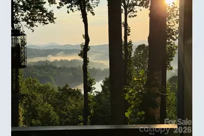 600 Tanglewood Lane, Saluda, NC 28773 - Photo 48