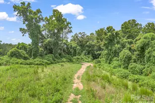 588 Hog Pen Branch Rd, Mooresboro, NC 28114 - Photo 44