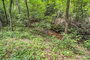 588 Hog Pen Branch Rd, Mooresboro, NC 28114 - Photo 10