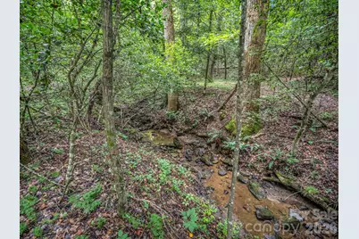 588 Hog Pen Branch Road, Mooresboro, NC 28114 - Photo 8