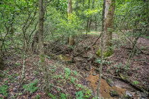 588 Hog Pen Branch Rd, Mooresboro, NC 28114 - Photo 8