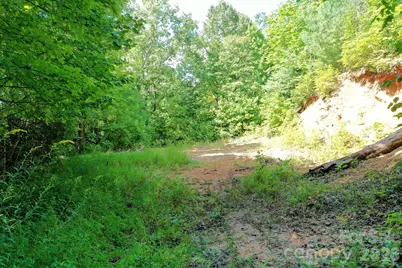 999 Fowler Lane, Fletcher, NC 28732 - Photo 10