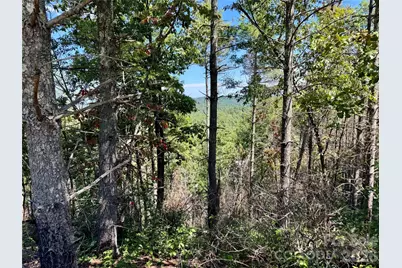 1.46 Acres, Lot 48 Tomahawk Ridge Drive #Lot 48, Lenoir, NC 28645 - Photo 16