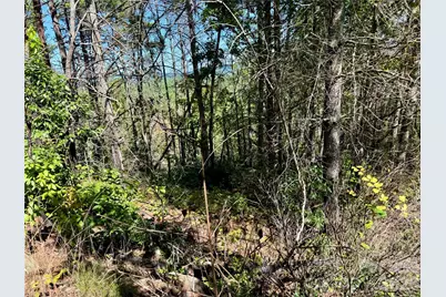 1.46 Acres, Lot 48 Tomahawk Ridge Drive #Lot 48, Lenoir, NC 28645 - Photo 14