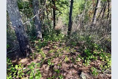 1.46 Acres, Lot 48 Tomahawk Ridge Drive #Lot 48, Lenoir, NC 28645 - Photo 12