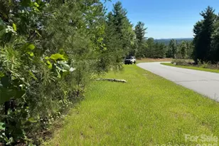 1 46 Acres Lot 48 Tomahawk Ridge Dr, Lenoir, NC 28645 - Photo 1