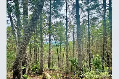 1.46 Acres, Lot 48 Tomahawk Ridge Drive #Lot 48, Lenoir, NC 28645 - Photo 10