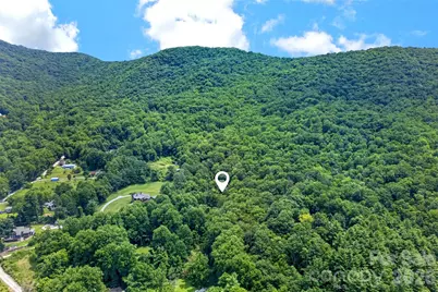 111 Walkertown Road, Black Mountain, NC 28711 - Photo 22