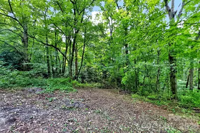 111 Walkertown Road, Black Mountain, NC 28711 - Photo 6