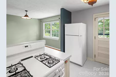 209 White Pine Drive, Asheville, NC 28805 - Photo 18