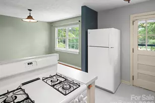 209 White Pine Dr, Asheville, NC 28805 - Photo 18