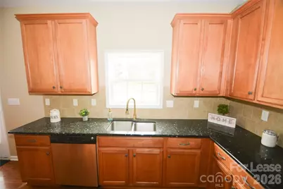 10605 Greenhead View Road, Charlotte, NC 28262 - Photo 16