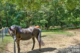 205 Airport Rd, Wesley Chapel, NC 28110 - Photo 48