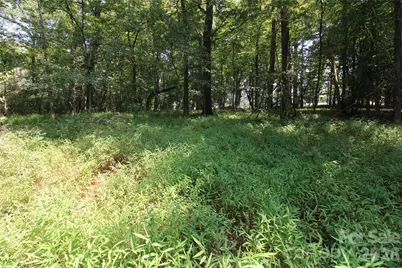 00 Webster Road, Stoneville, NC 27047 - Photo 4