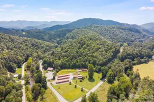 58 Gunter Town Rd, Marshall, NC 28753 - Photo 44