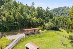 58 Gunter Town Rd, Marshall, NC 28753 - Photo 4