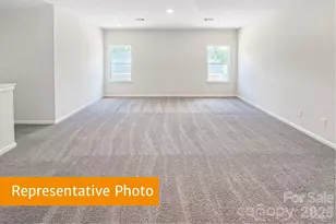 4145 Ruth Crk Ct, Charlotte, NC 28216 - Photo 14