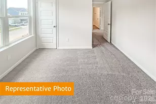 4145 Ruth Crk Ct, Charlotte, NC 28216 - Photo 16