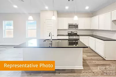 4145 Ruth Creek Court, Charlotte, NC 28216 - Photo 4