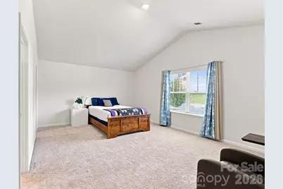 117 Colt Street, Candler, NC 28715 - Photo 4