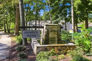 117 Colt St, Candler, NC 28715 - Photo 46